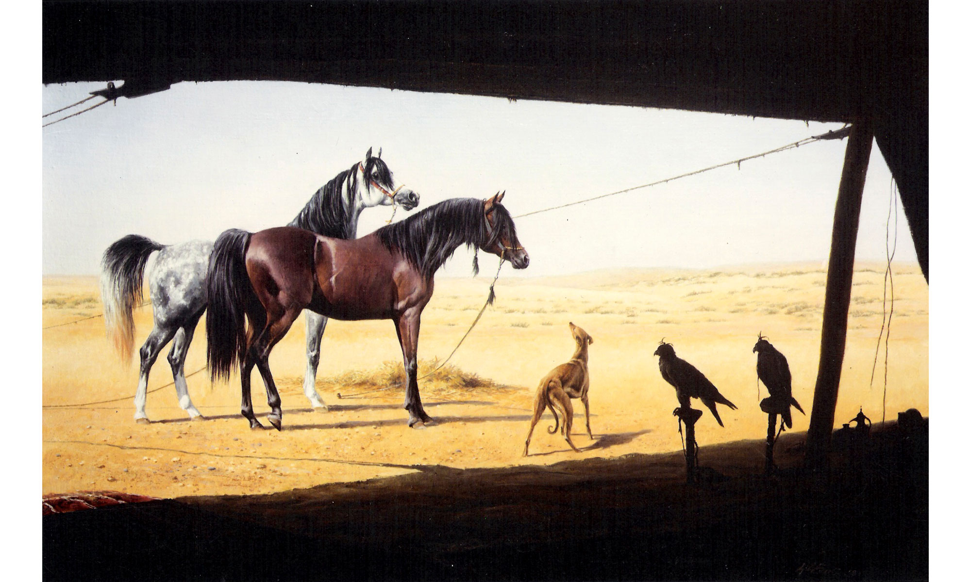 The Beloved Arab Horse Painting by Terence J Gilbert Oil on Board